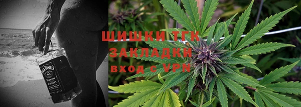 эйфоретик Алзамай