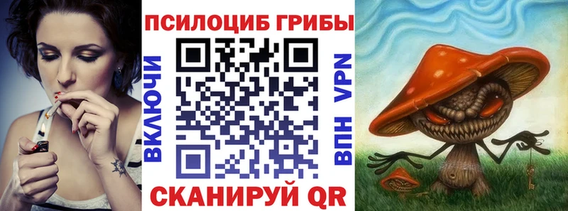 Купить Баймак Галлюциногенные грибы прущие грибы